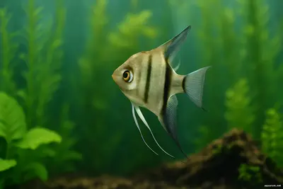 вода помнит всё