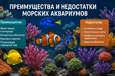 Преимущества и недостатки морских аквариумов Морской аквариум — это одновременно вызов и источник вдохновения