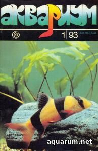Журнал «Аквариум» №1, 1993 год
