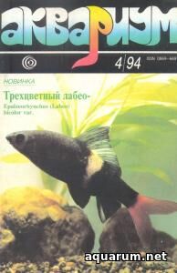 Журнал «Аквариум» №4, 1994 год