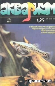 Журнал «Аквариум» №1, 1995 год
