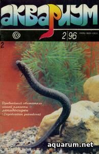 Журнал «Аквариум» №2, 1996 год