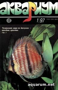 Журнал «Аквариум» №1, 1997 год