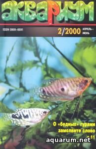 Журнал «Аквариум» №2, 2000 год