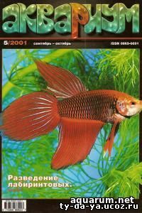 Журнал «Аквариум» №5, 2001 год