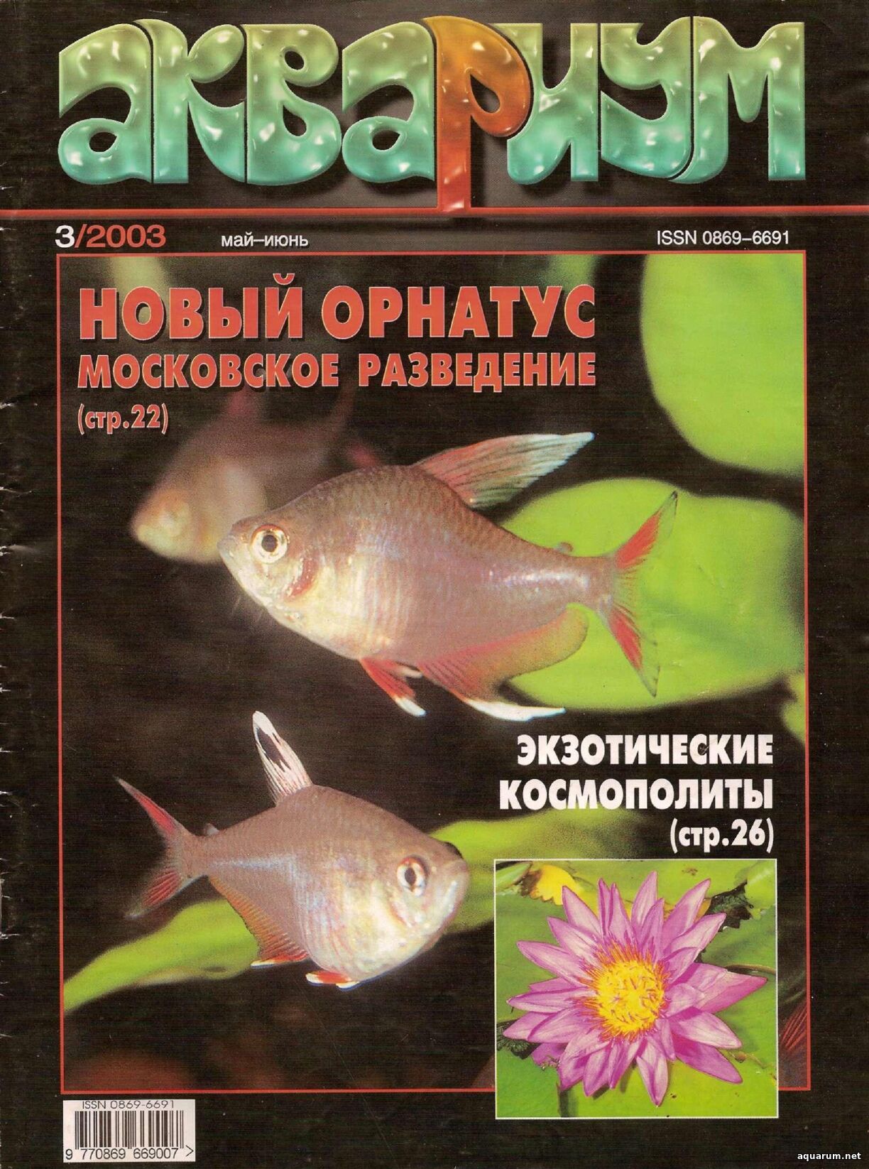 Журнал «Аквариум» №3, 2003 год