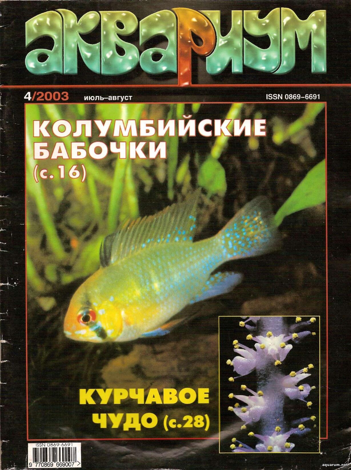 Журнал «Аквариум» №4, 2003 год