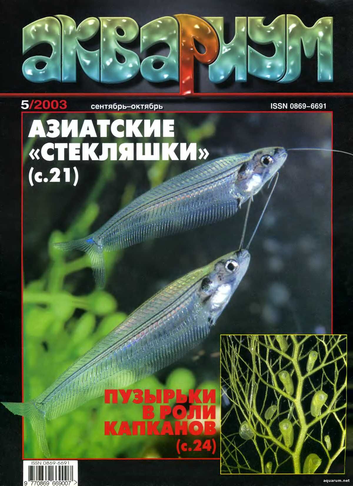 Журнал «Аквариум» №5, 2003 год
