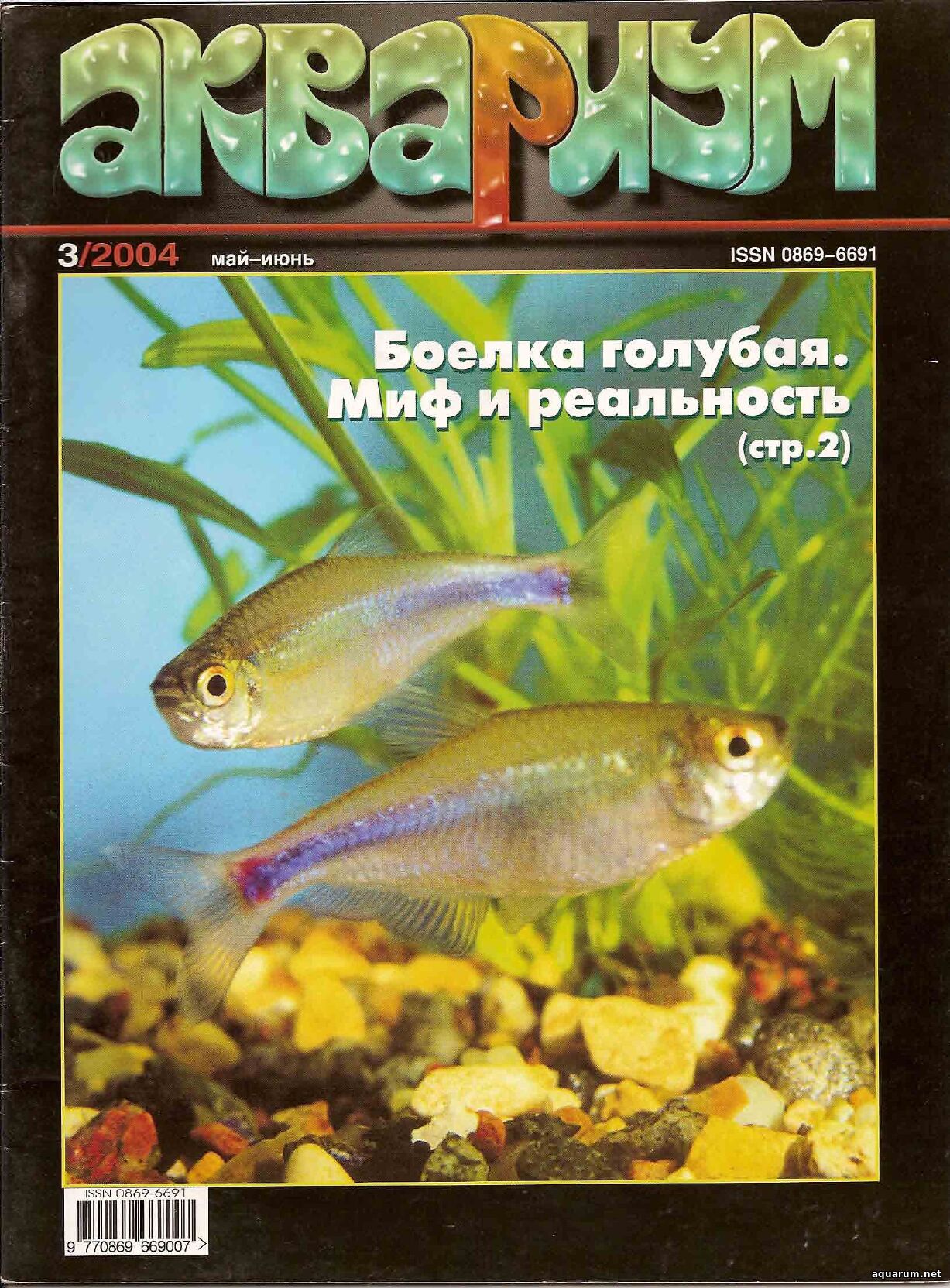 Журнал «Аквариум» №3, 2004 год