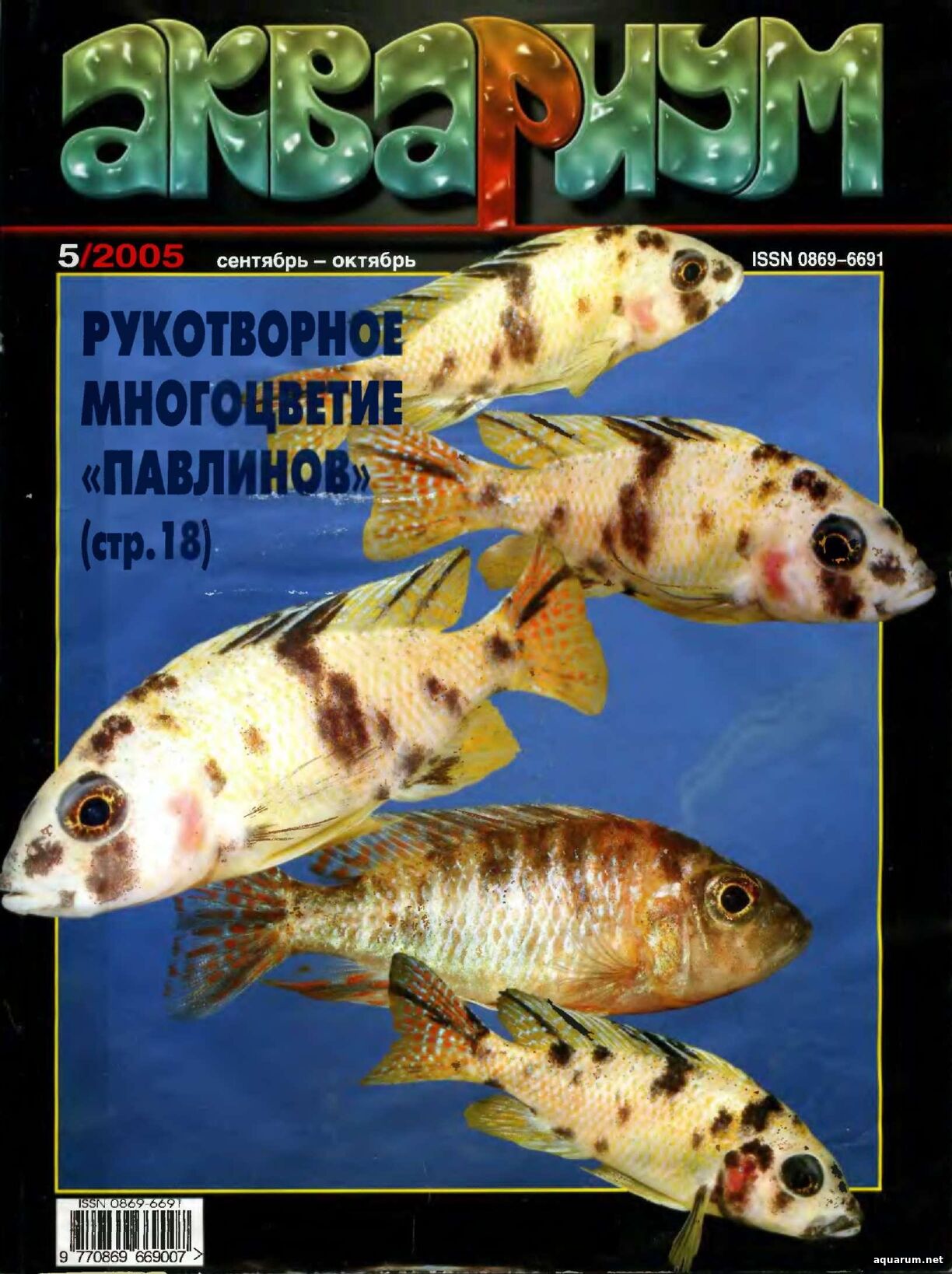 Журнал «Аквариум» №5, 2005 год