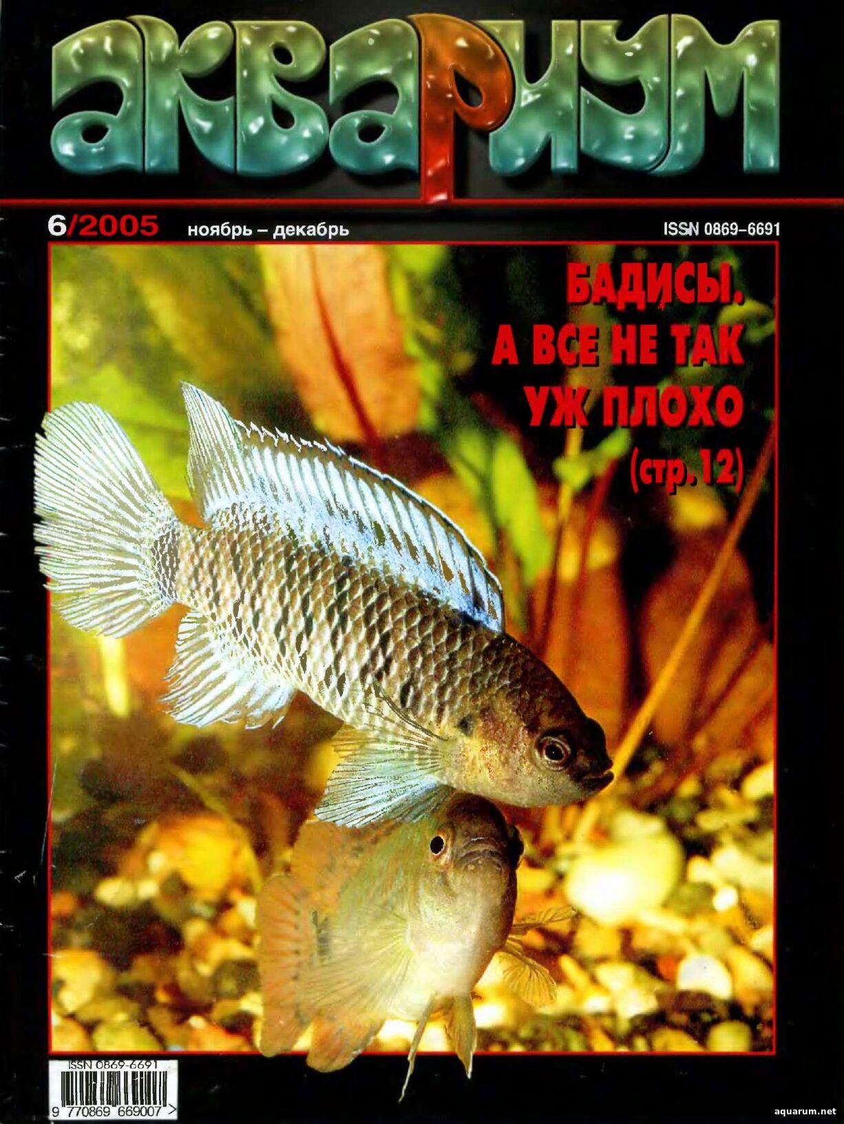 Журнал «Аквариум» №6 2005 год