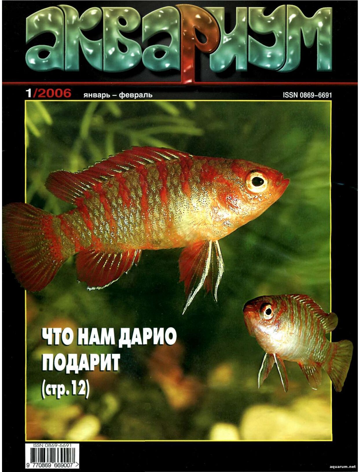 Журнал «Аквариум» №1, 2006 год