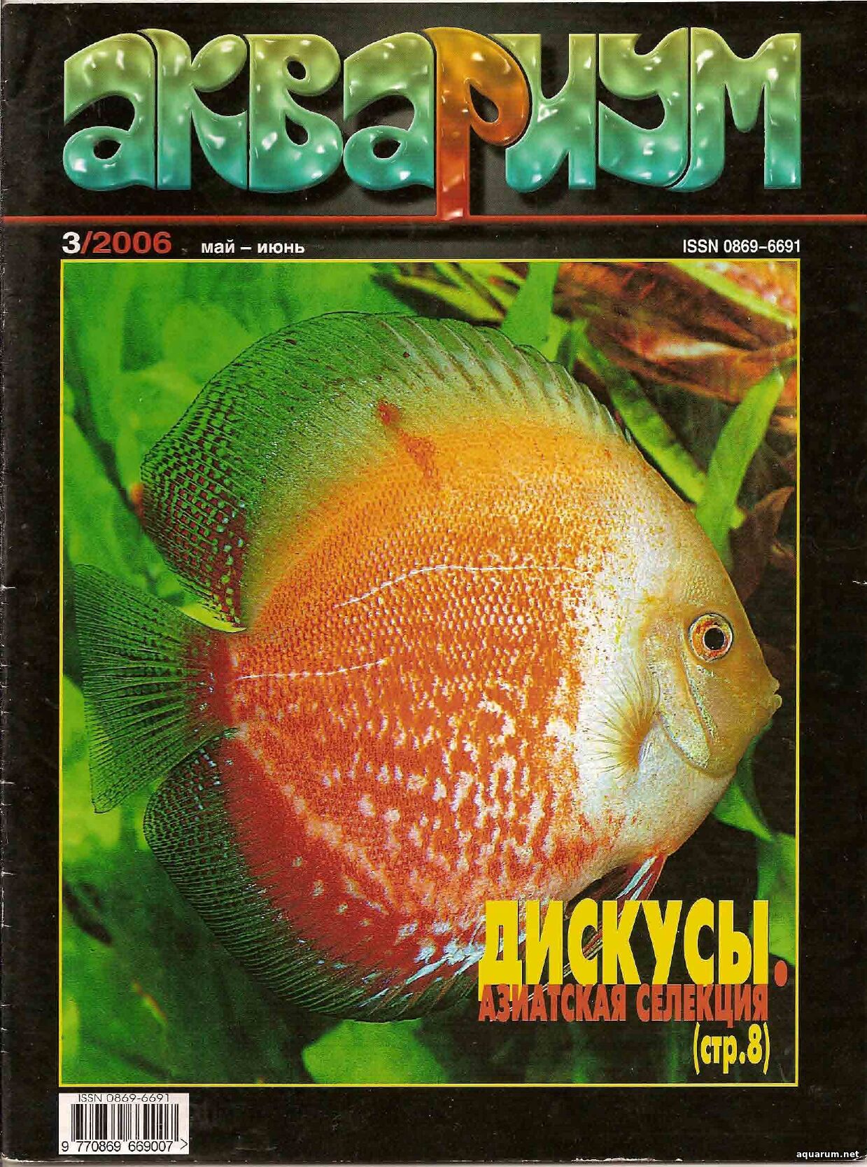 Журнал «Аквариум» №3, 2006 год