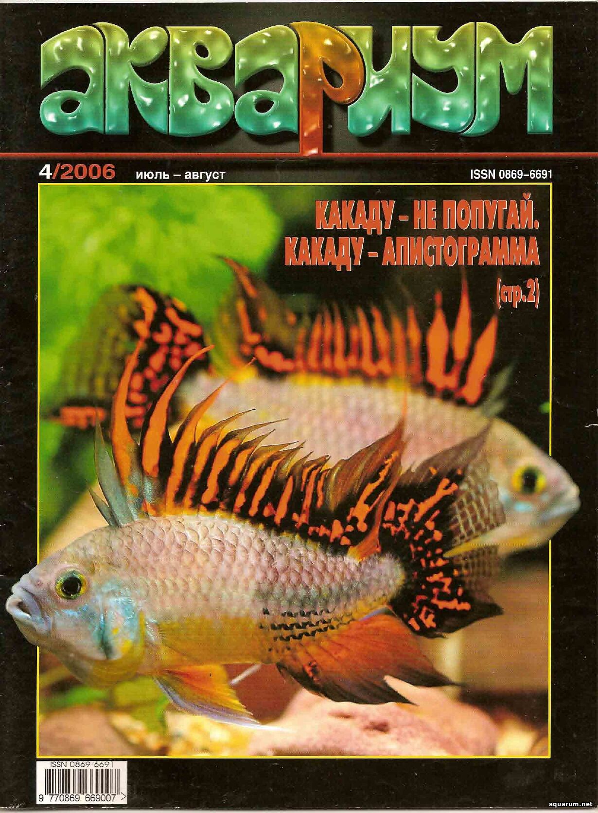 Журнал «Аквариум» №4, 2006 год