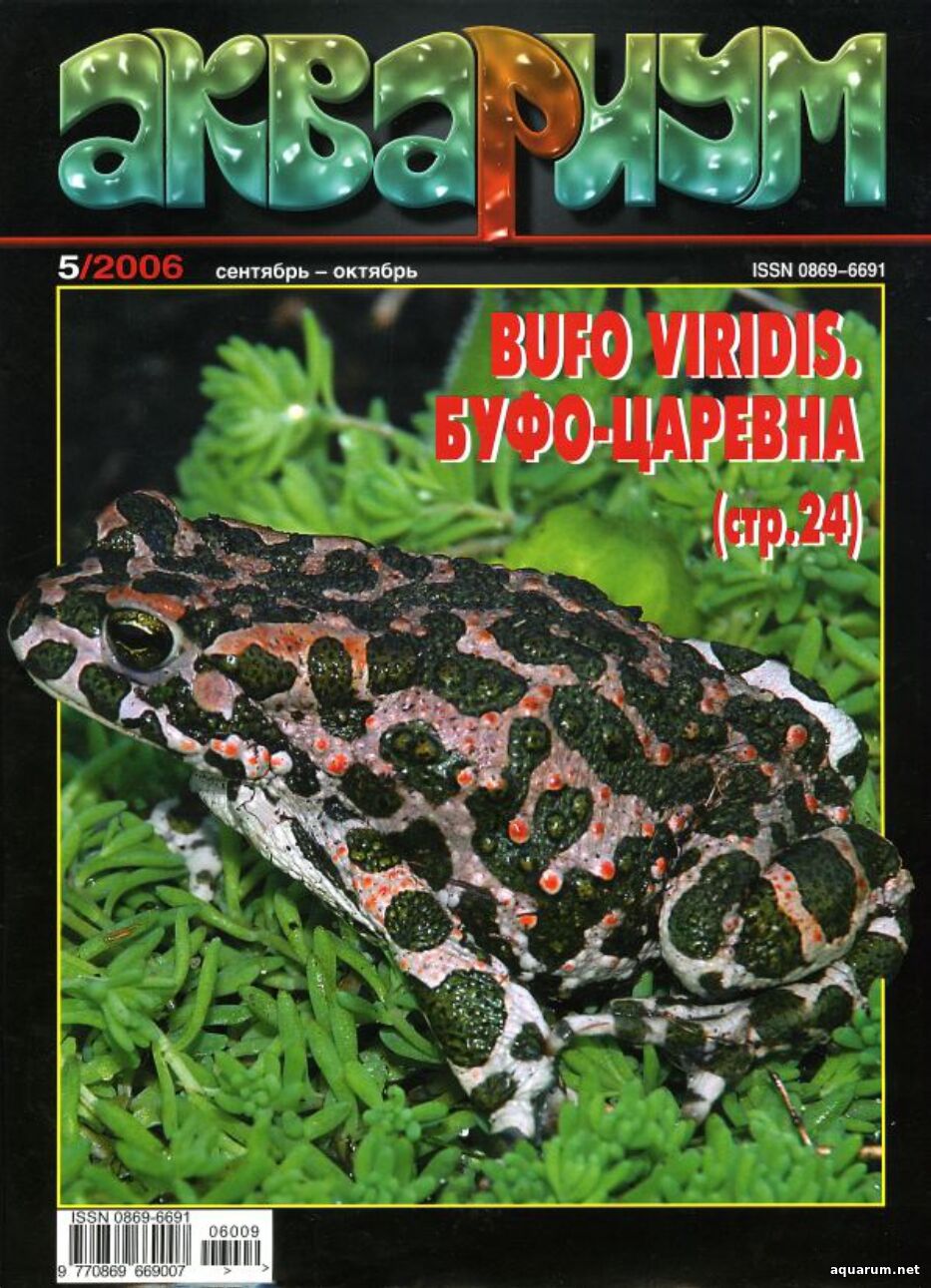 Журнал «Аквариум» №5, 2006 год