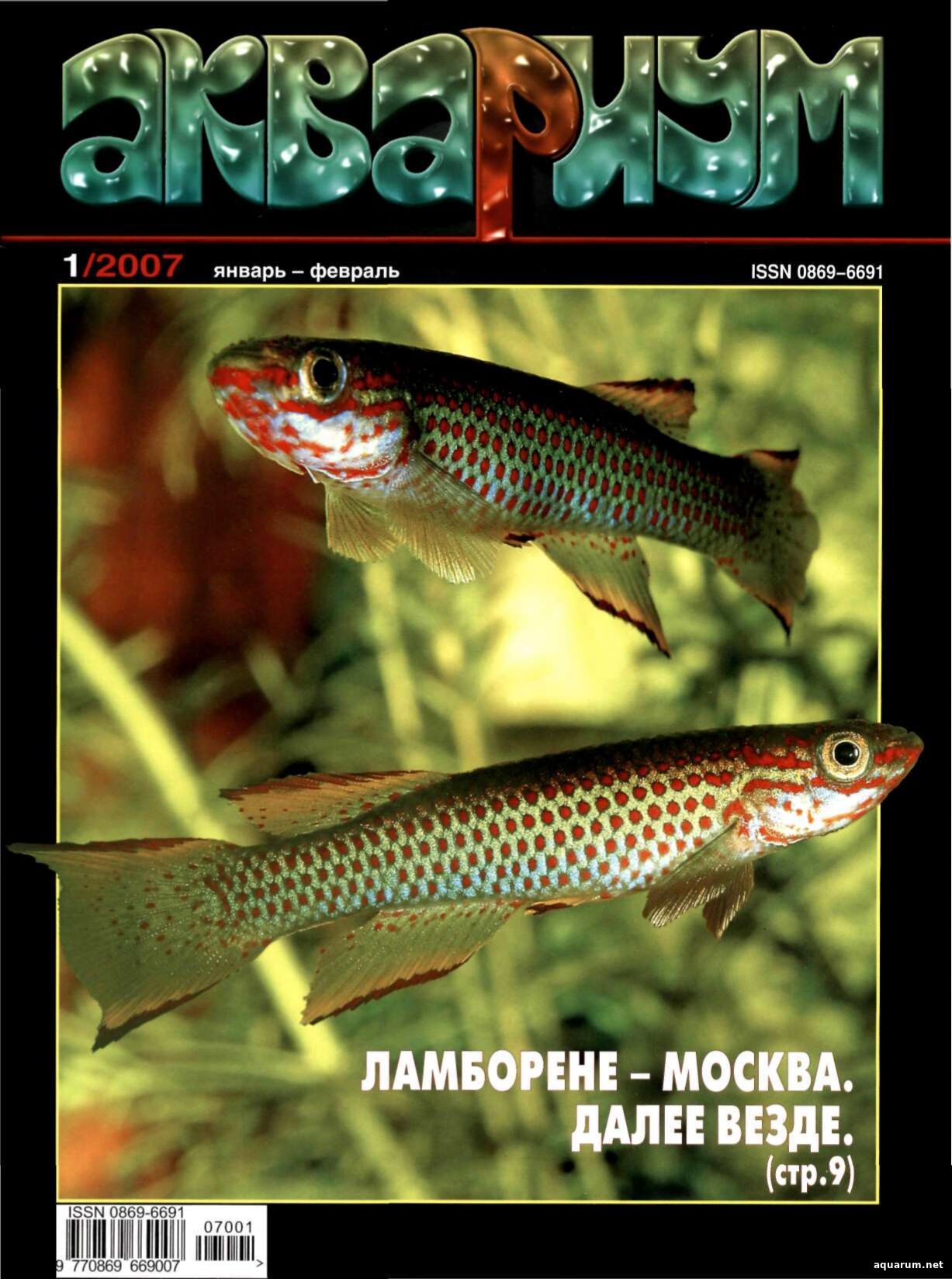 Журнал «Аквариум» №1, 2006 год