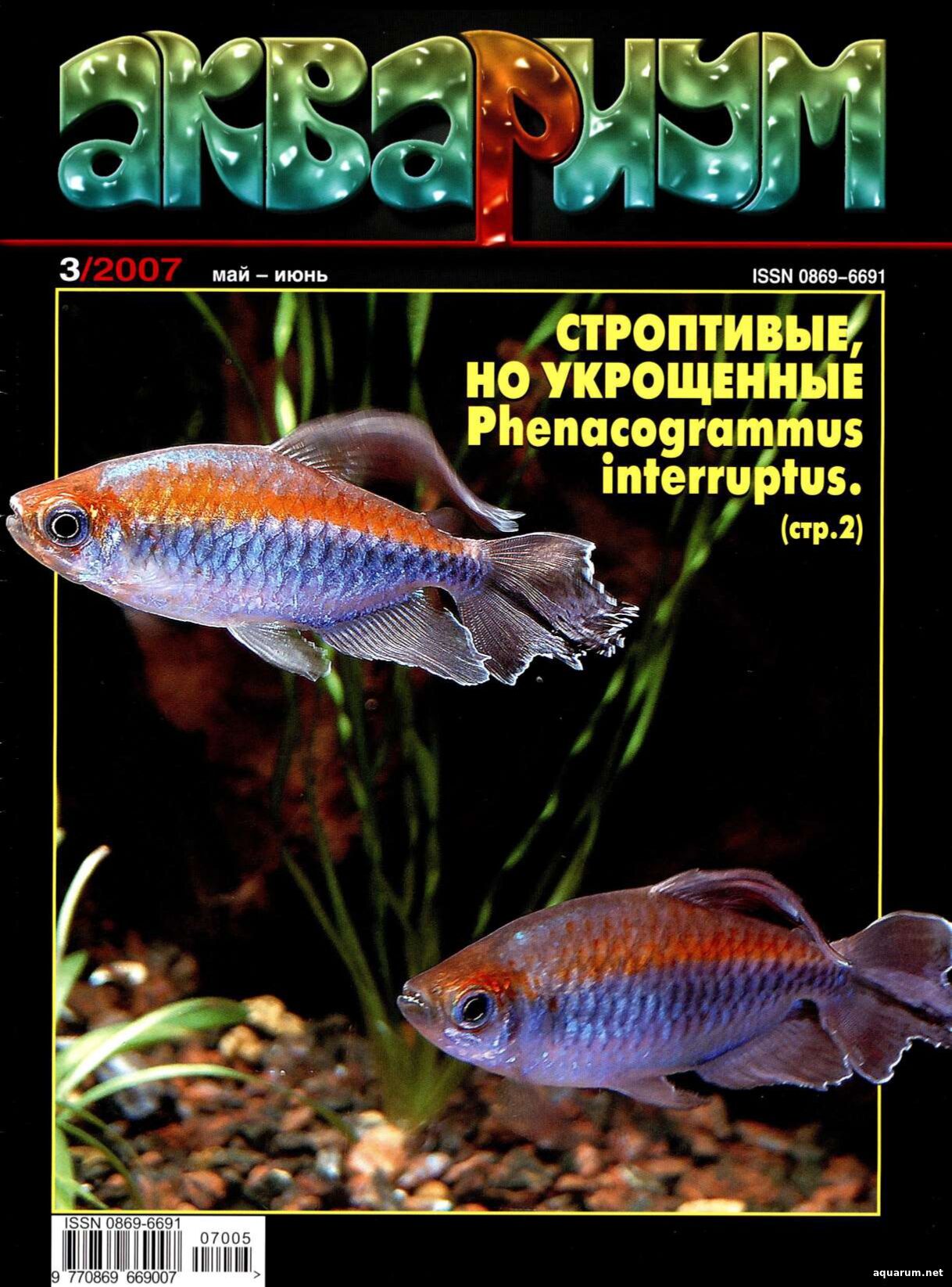 Журнал «Аквариум» №3, 2007 год