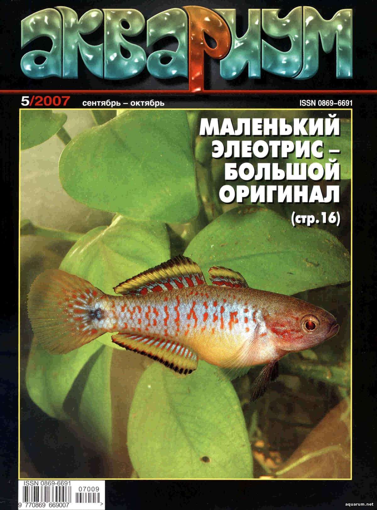 Журнал «Аквариум» №5, 2007 год
