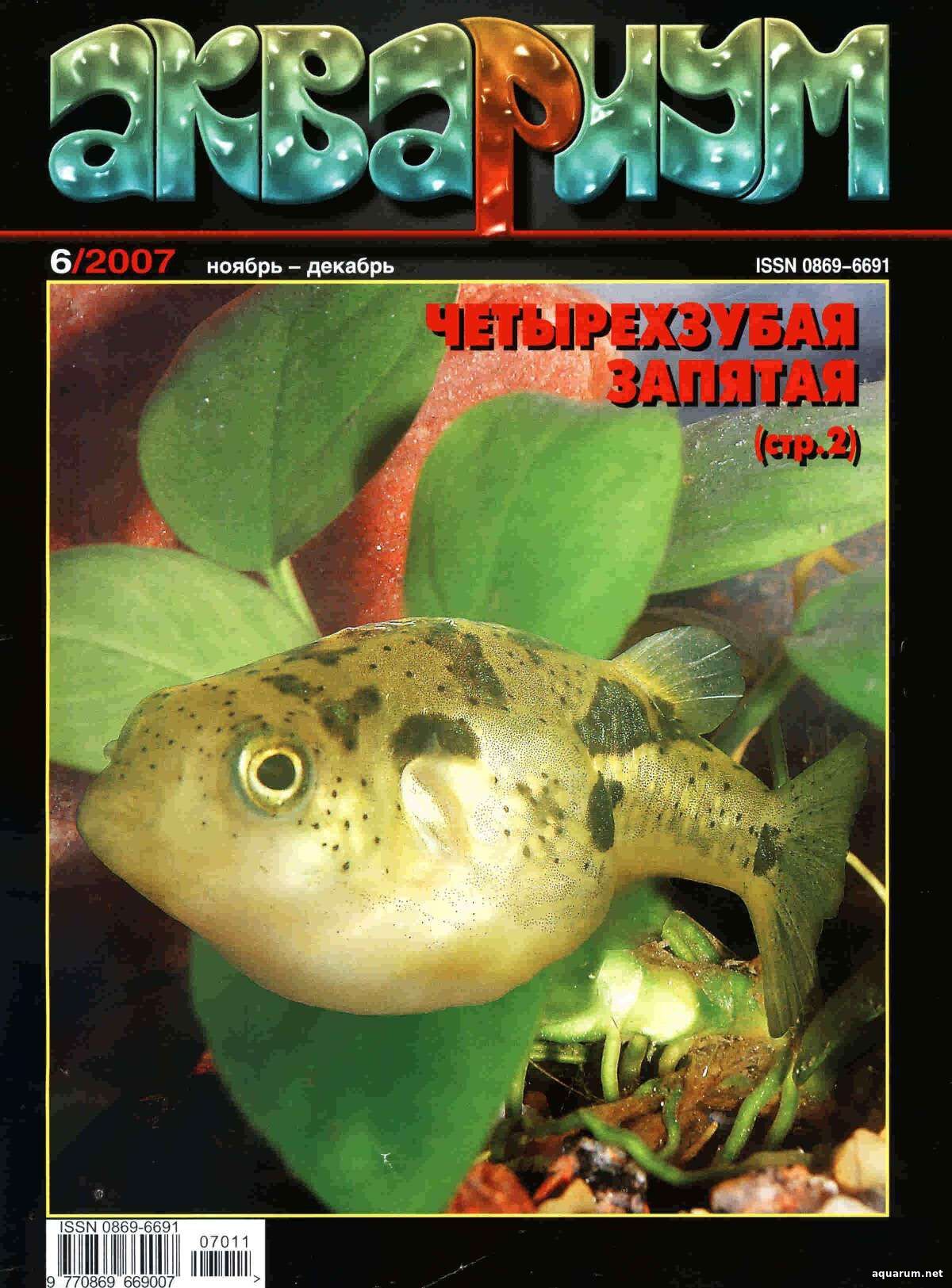 Журнал «Аквариум» №6, 2007 год