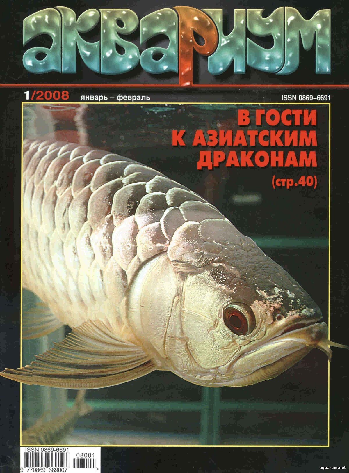 Журнал «Аквариум» №1, 2008 год