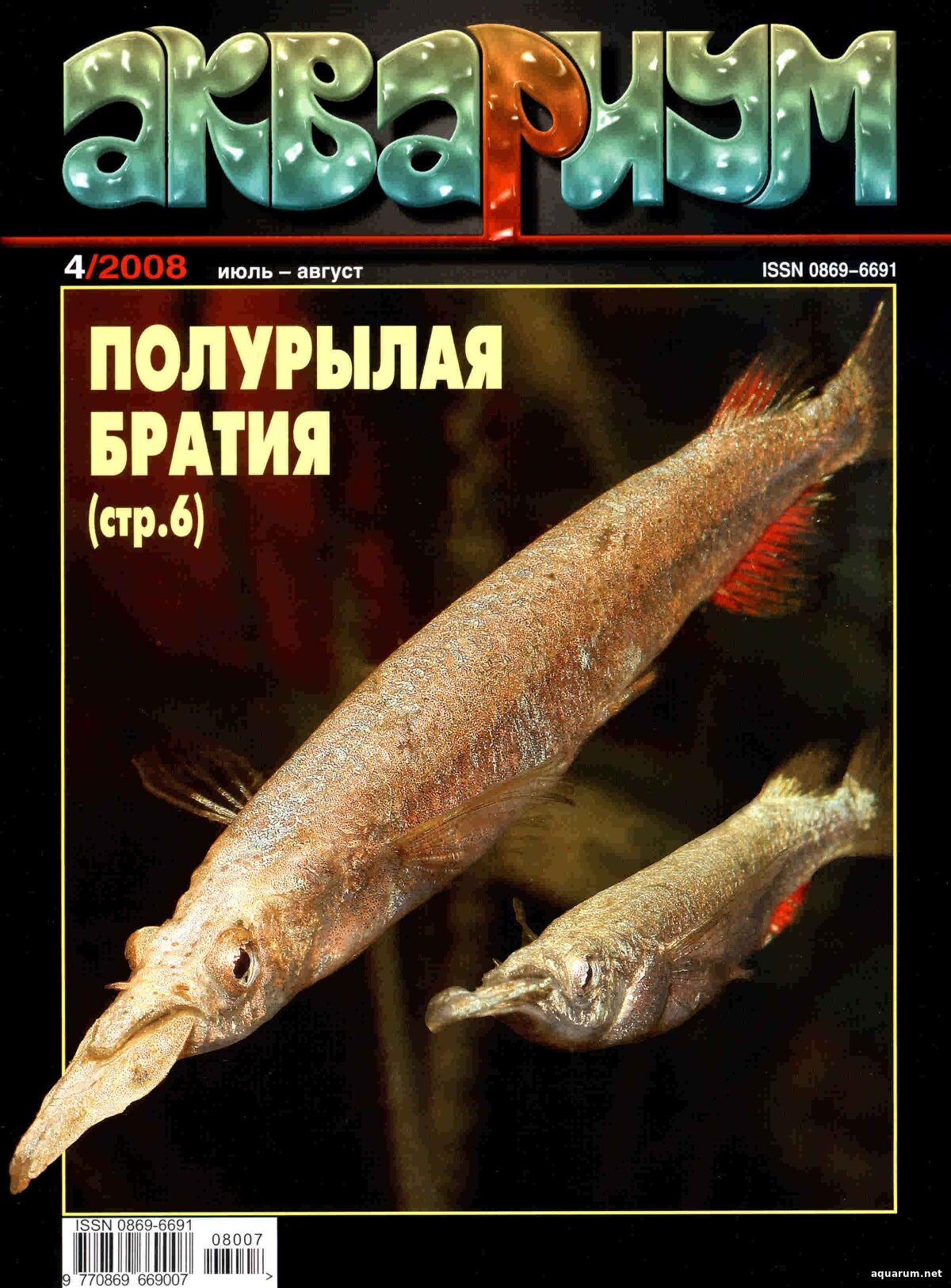 Журнал «Аквариум» №4, 2008 год