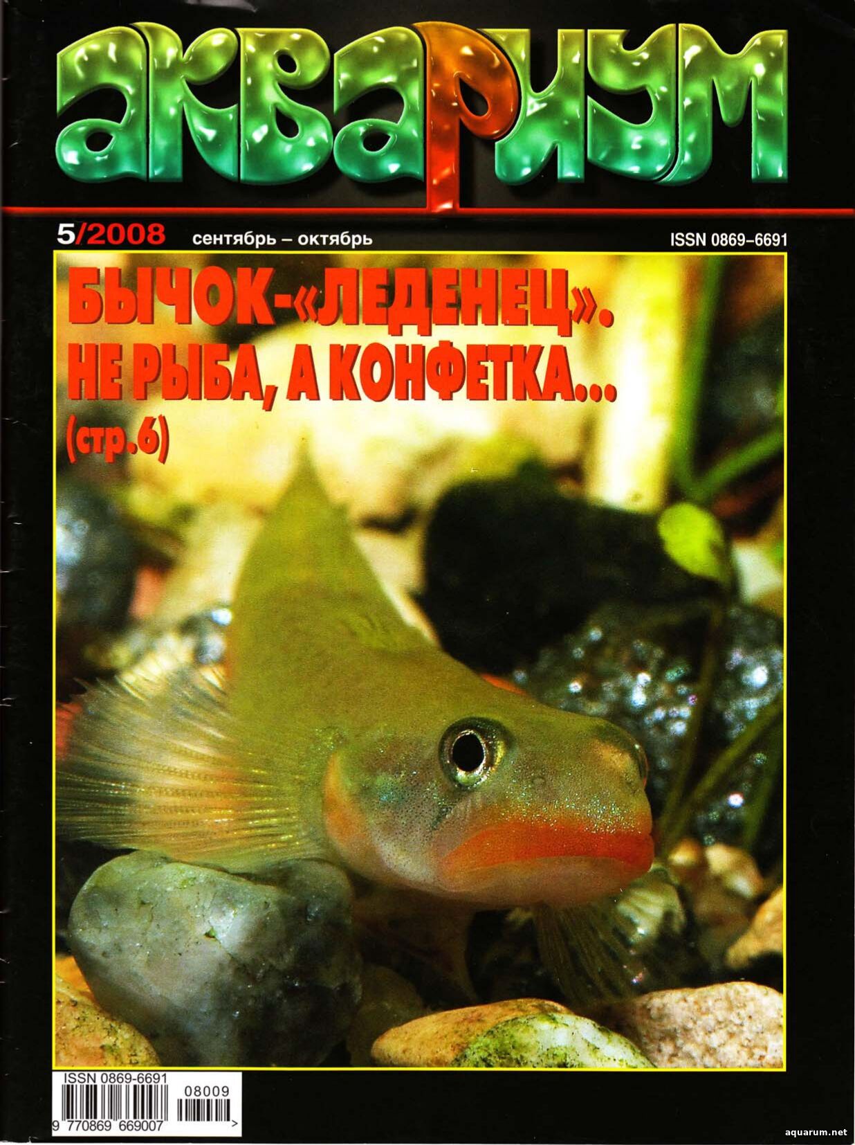Журнал «Аквариум» №5, 2008 год
