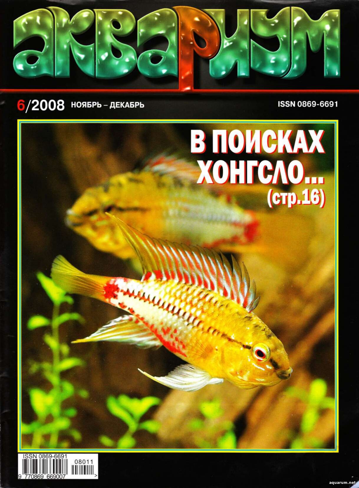 Журнал «Аквариум» №6, 2008 год