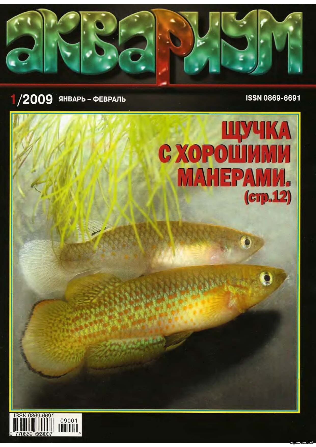 Журнал «Аквариум» №1, 2009 год