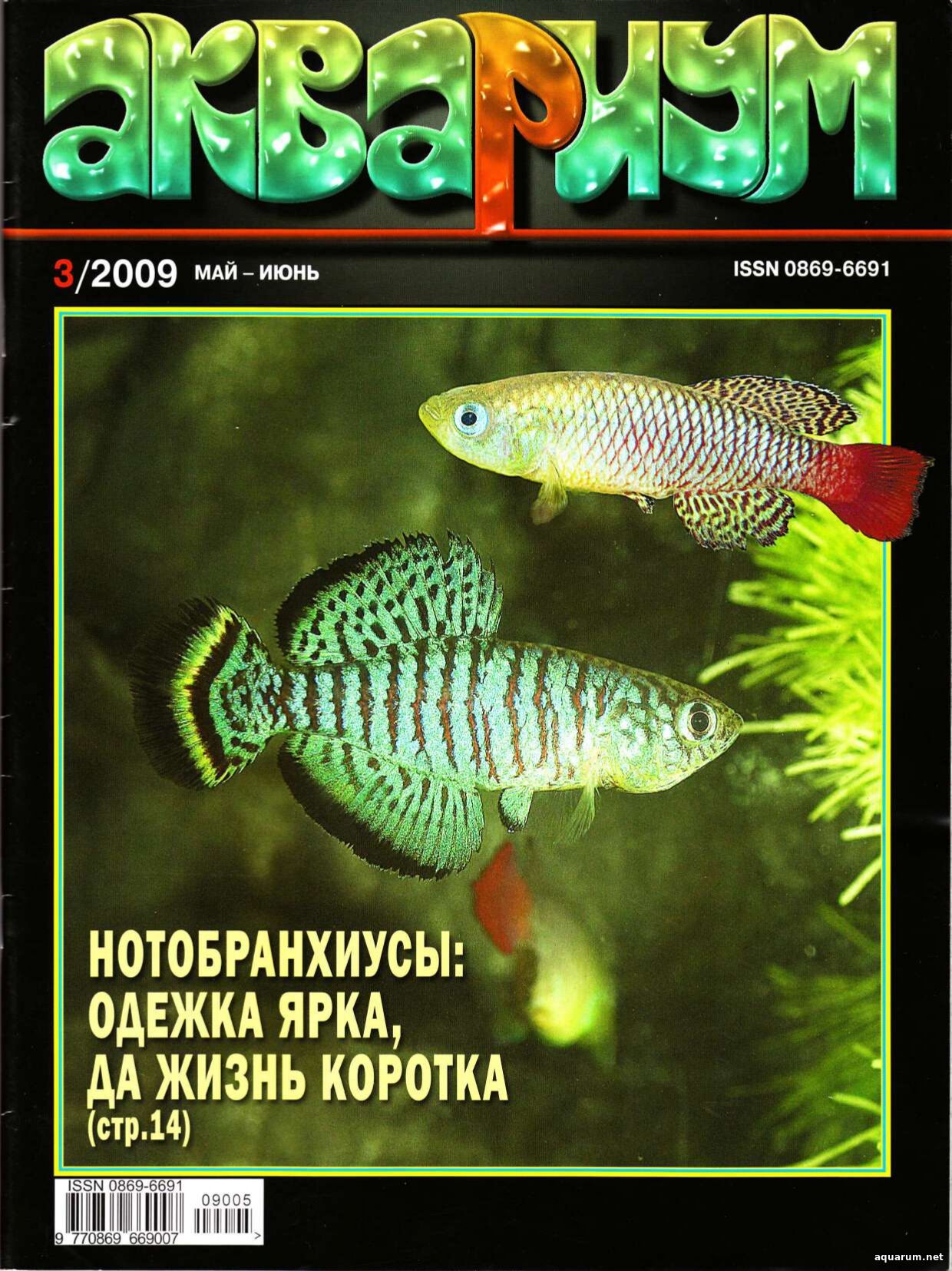 Журнал «Аквариум» №3, 2009 год