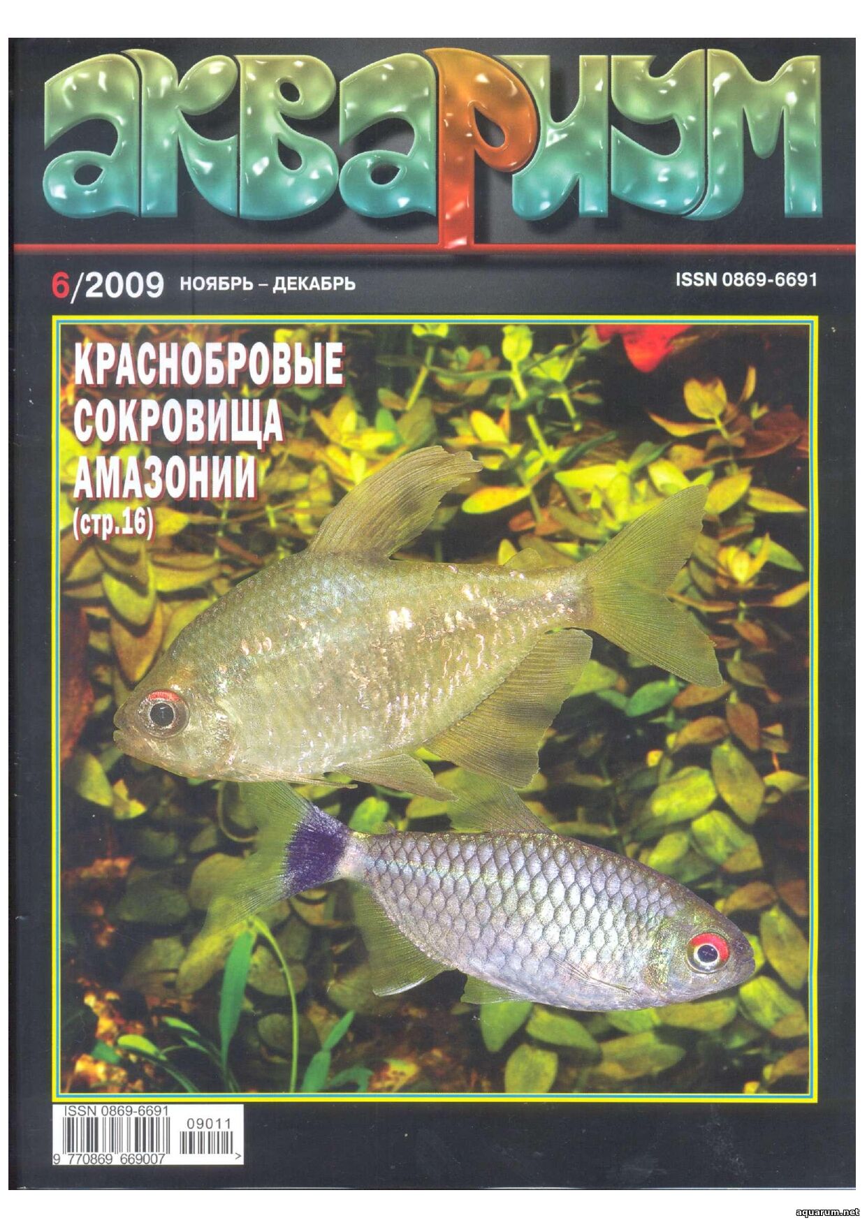Журнал «Аквариум» №6, 2009 год