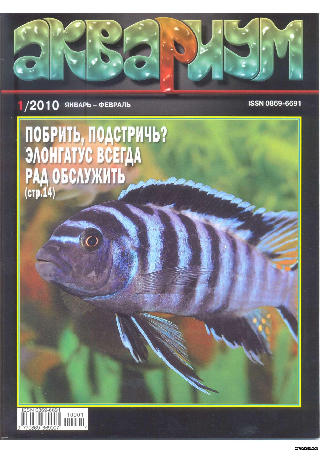 Журнал «Аквариум» №1, 2010 год