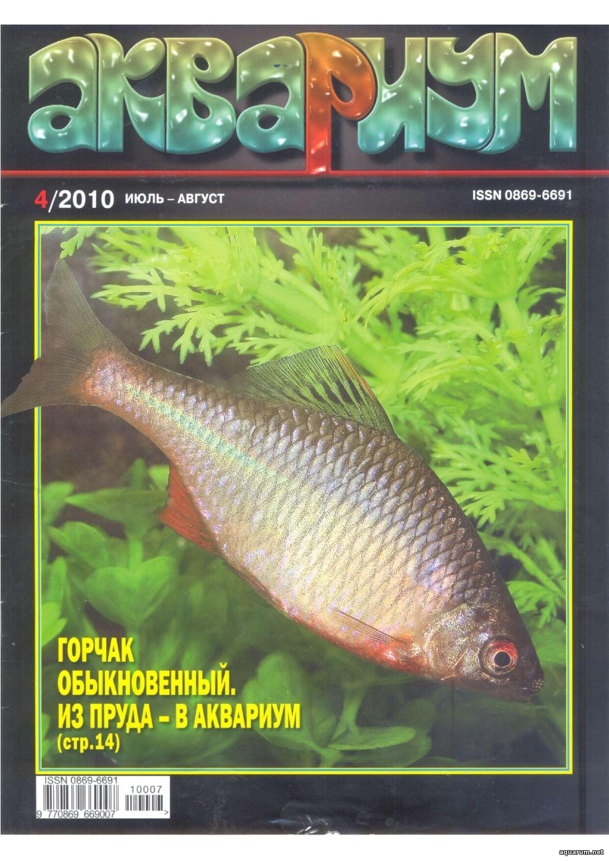 Журнал «Аквариум» №4, 2010 год
