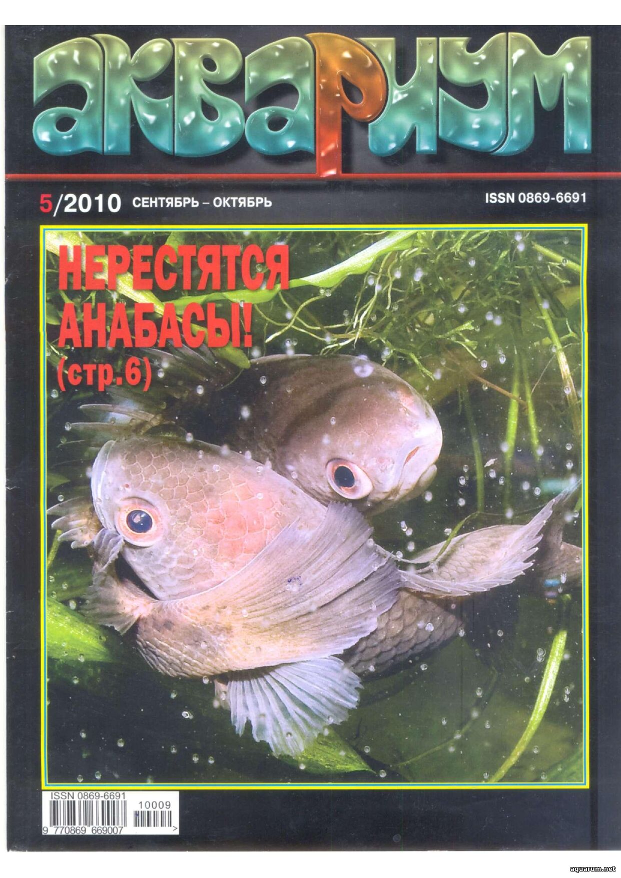 Журнал «Аквариум» №5, 2010 год