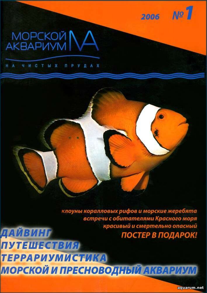 Журнал «Морской аквариум» №1, 2006 год