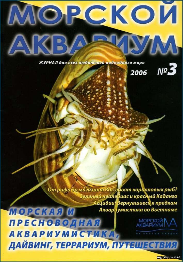 Журнал «Морской аквариум» №3, 2006 год