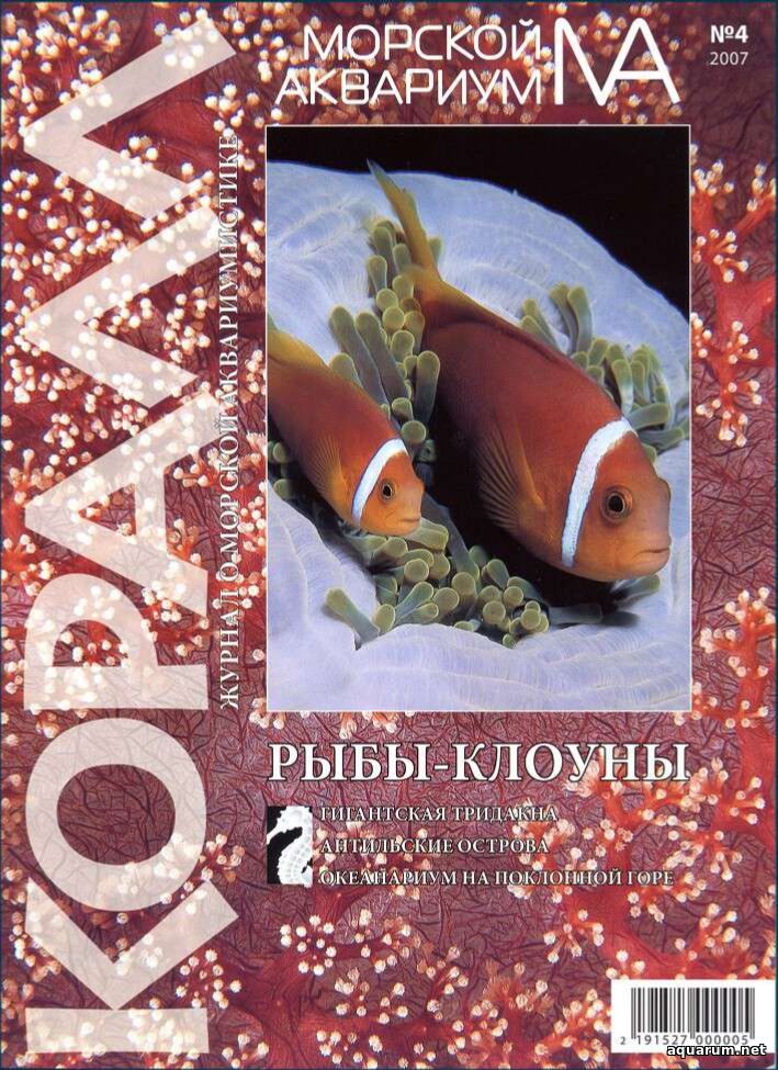 Журнал «Морской аквариум» №4, 2007 год