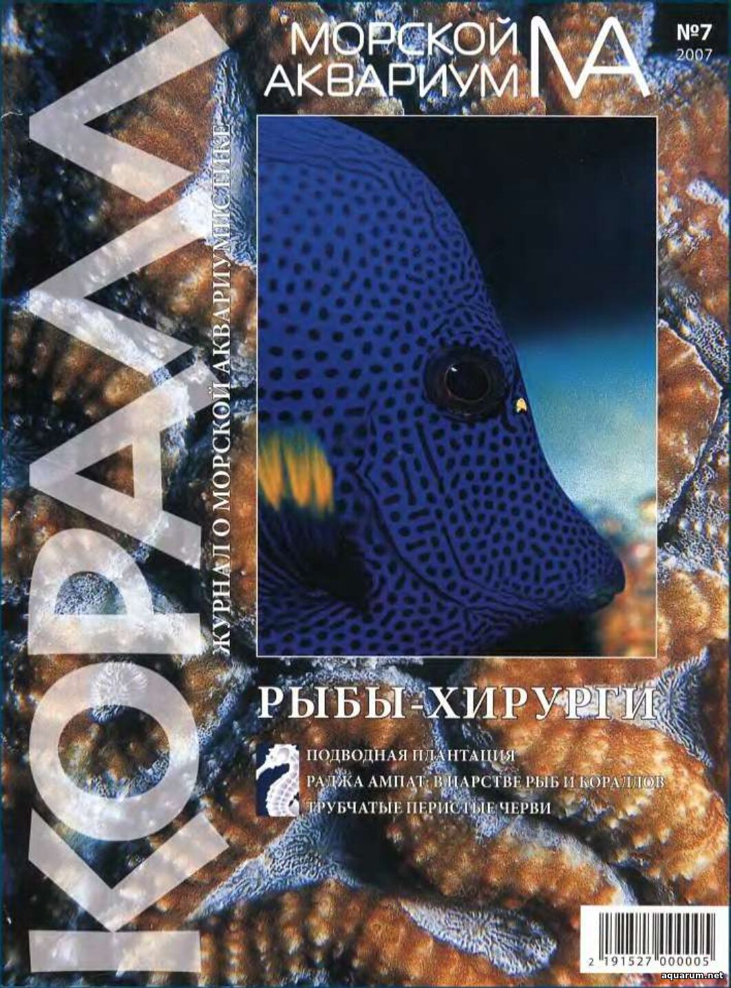 Журнал «Морской аквариум» №7, 2007 год